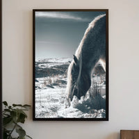 Winter Serenity A Horse In Snow Poster