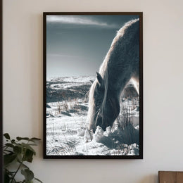 Winter Serenity A Horse In Snow Poster