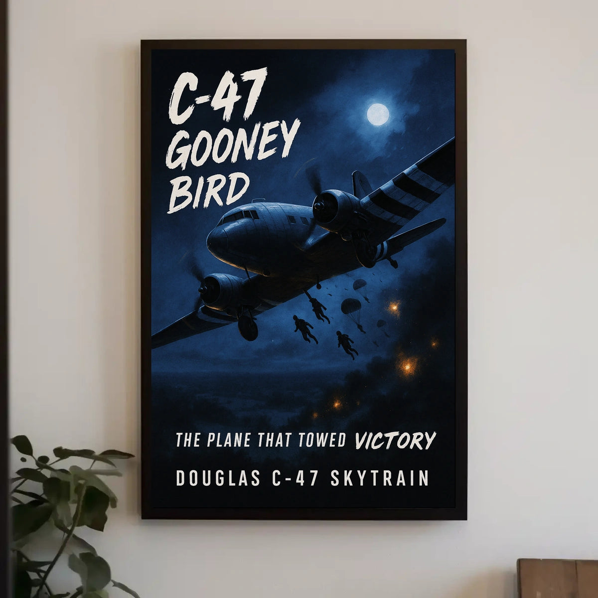 C-47 Gooney Bird Poster