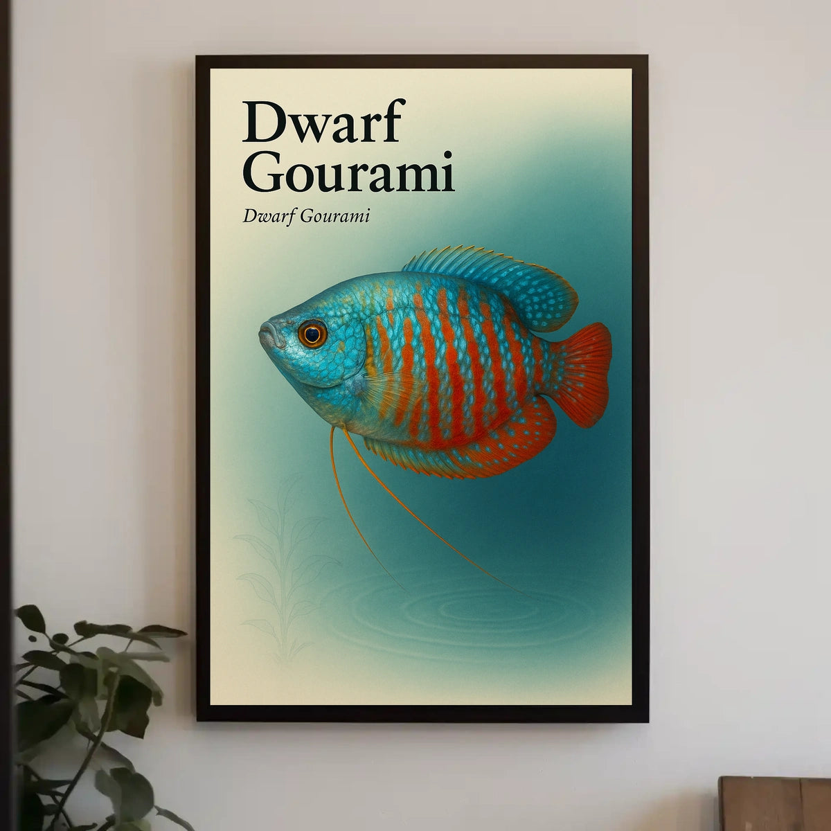 Dwarf Gourami Illustration Poster
