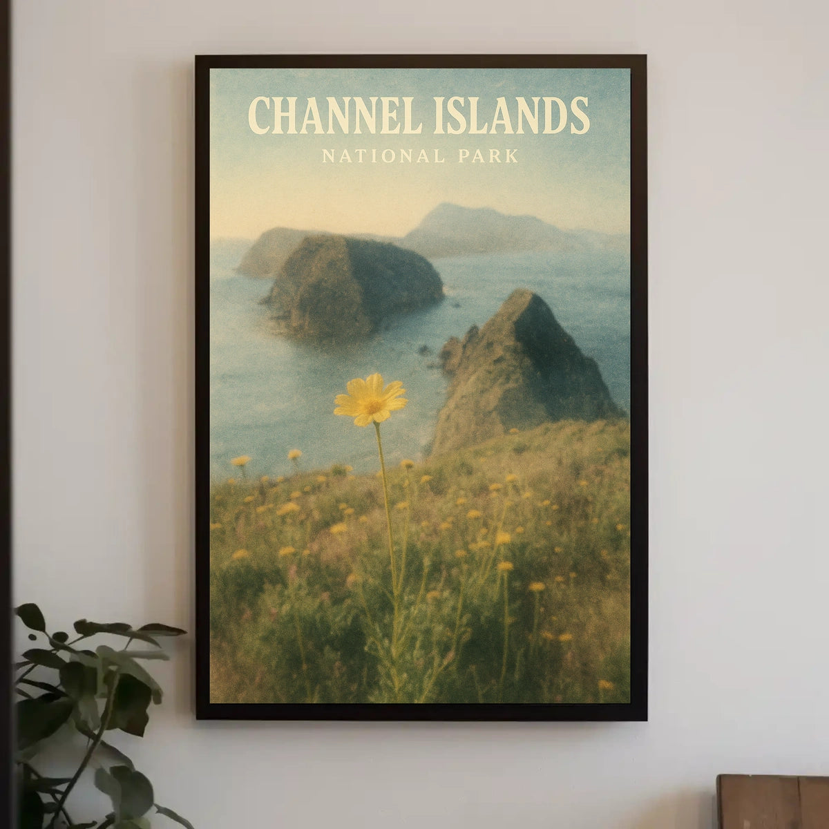 Channel Islands National Park Poster