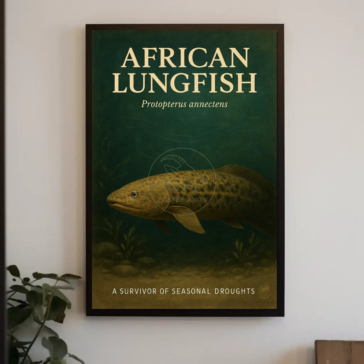 African Lungfish Illustration: Educational or Infographic Poster