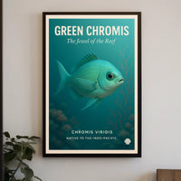 Green Chromis Jewel of the Reef Animal Poster PosterGoat