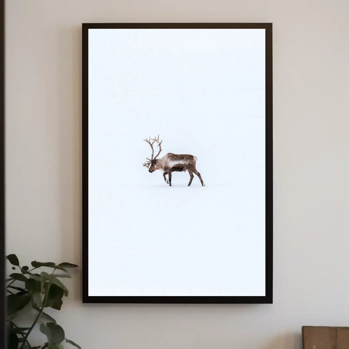Solitary Reindeer In Snow Poster