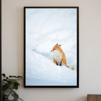 Tranquil Fox in Snow Poster