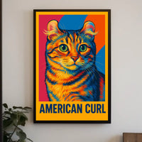 American Curl Poster