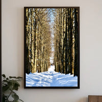 Winter Pathway Poster