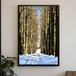 Winter Pathway Poster