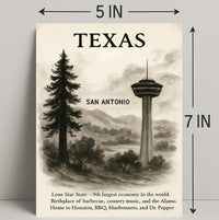 Texas The Lone Star State Poster PosterGoat