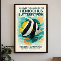 Discover The Charm Of The Heniochus Poster