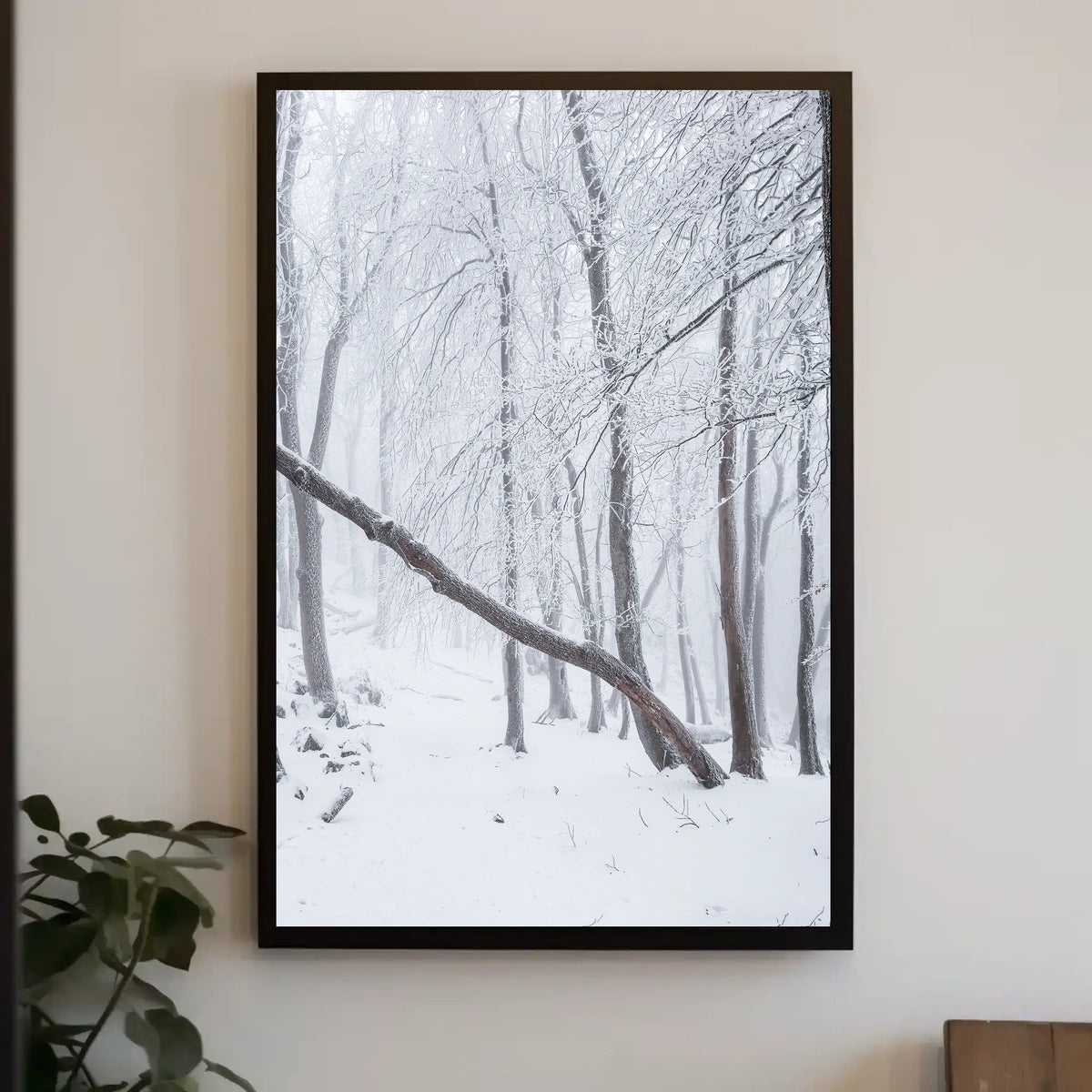 Winter Wonderland Poster
