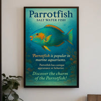 Discover the Charm of the Parrotfish Poster