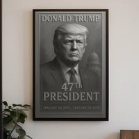 Donald Trump 47th President Poster