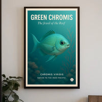 Green Chromis The Jewel Of The Reef Poster