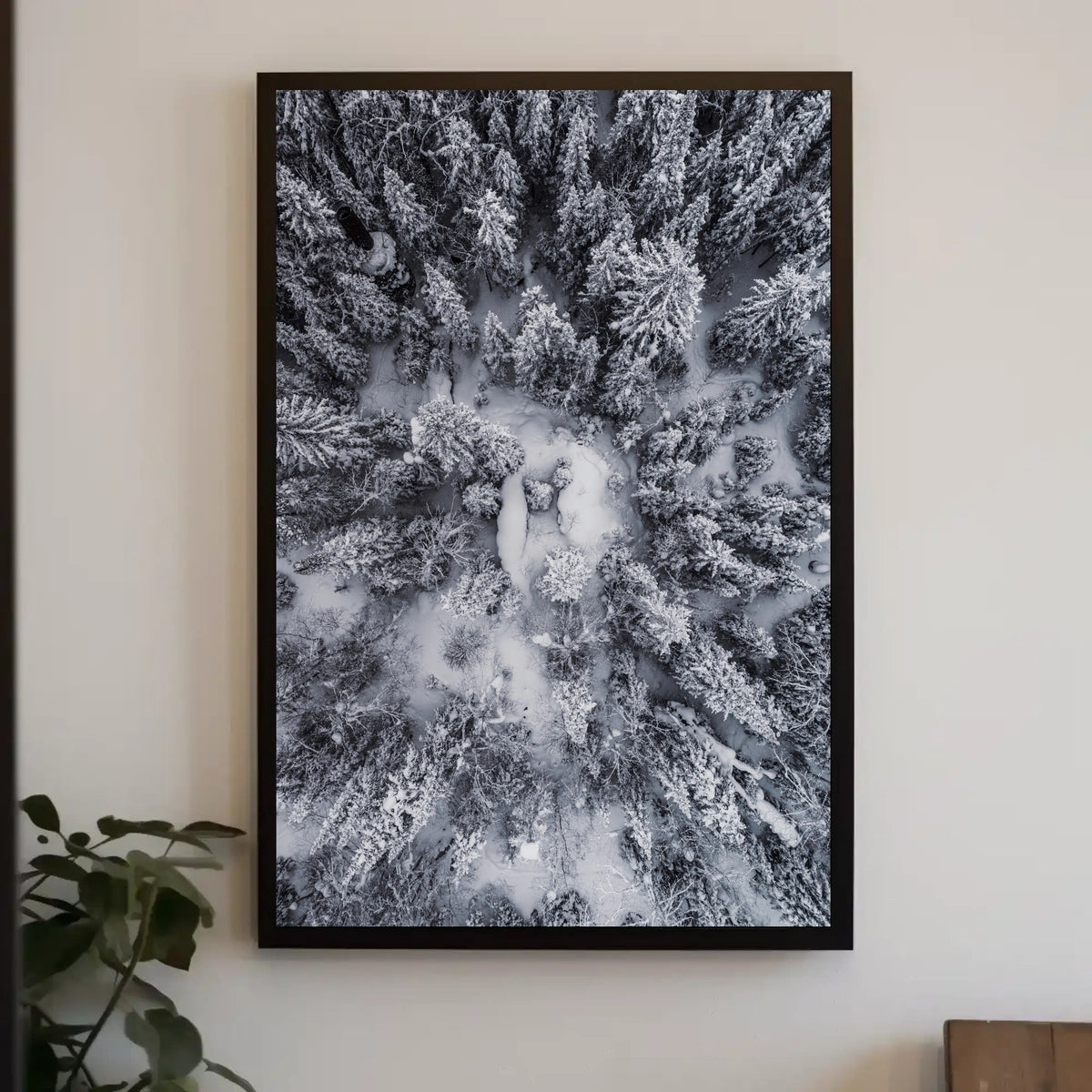 Winter Aerial Snowy Forest Scene National Park Poster