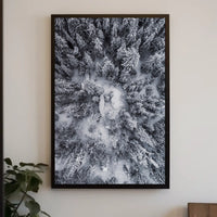 Winter Aerial Snowy Forest Scene National Park Poster