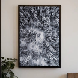 Winter Aerial Snowy Forest Scene National Park Poster
