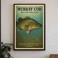 Murray Cod The Mighty Predator of Australia Poster