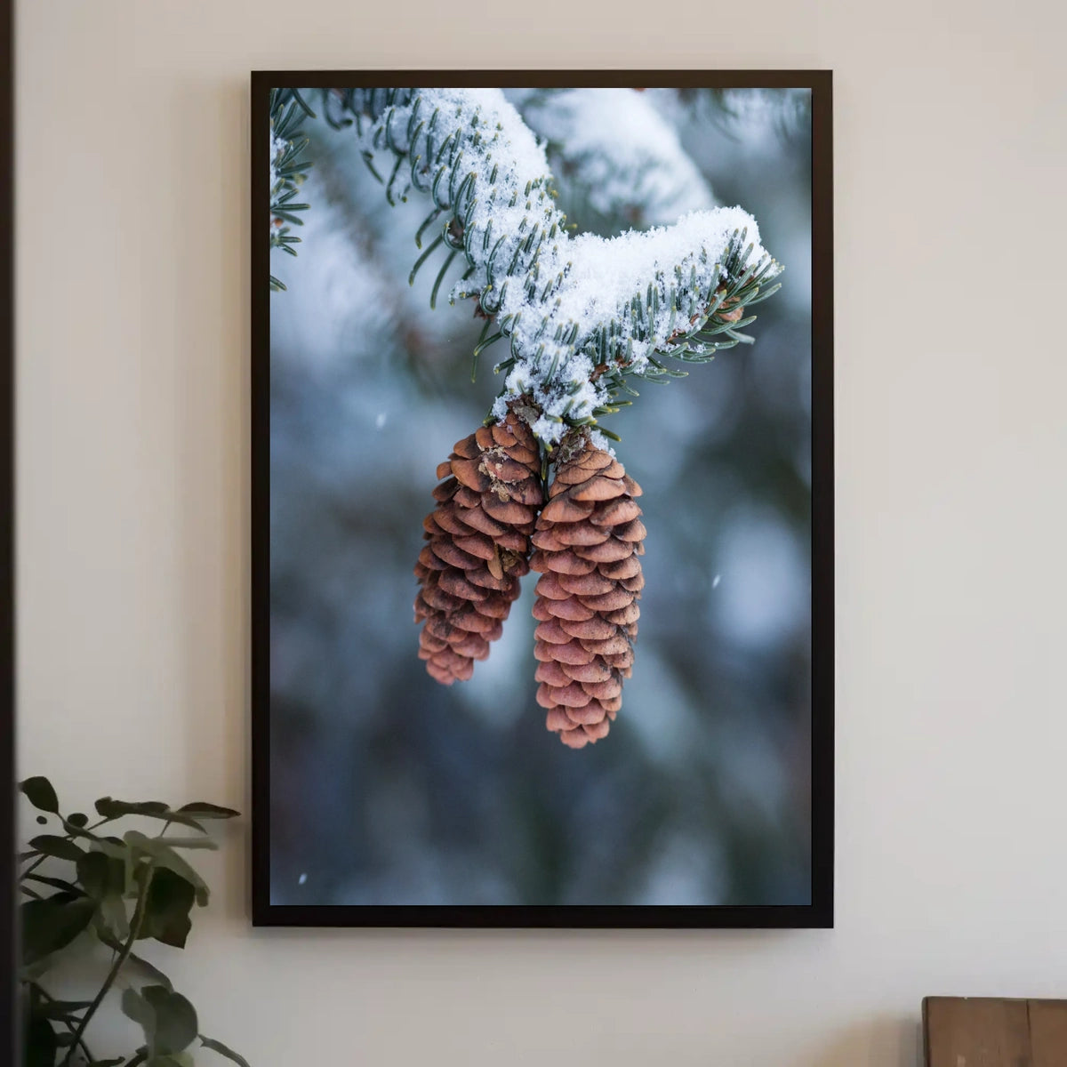 Winter Serenity Pine Cones National Park Poster