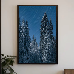 Winter Night Star Trails Forest Art Poster