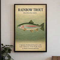 Rainbow Trout Oncorhynchus Mykiss Poster