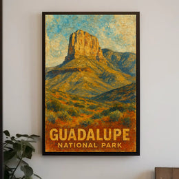 Guadalupe National Park Poster