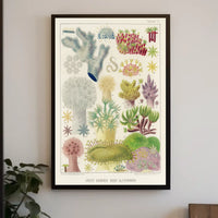 Great Barrier Reef Alcyonaria Poster