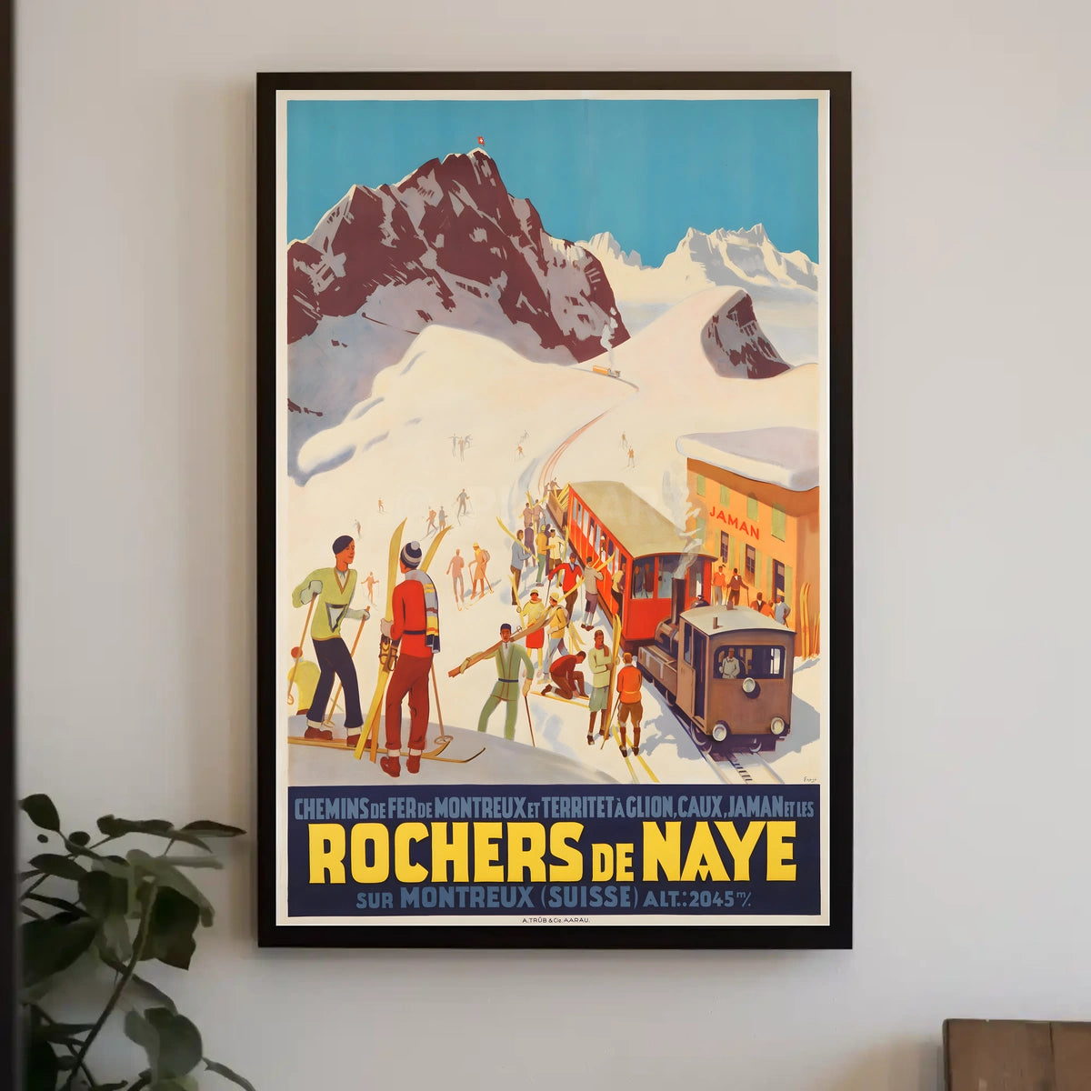 Rochers De Naye Swiss Mountain Poster