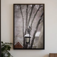 Winter Bird on Snow-Covered Lantern: Animal Poster