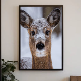 Winter Wonder Poster