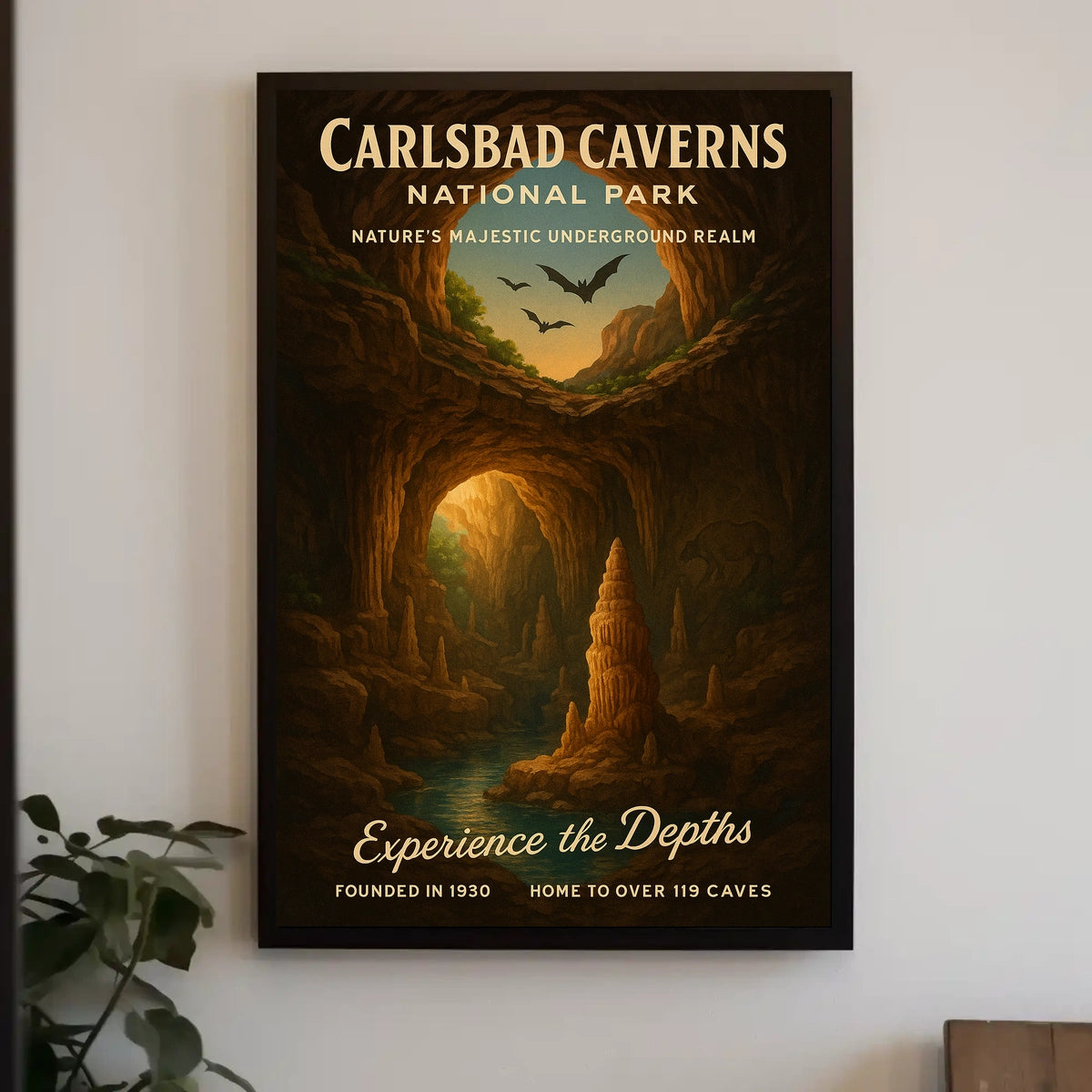 Carlsbad Caverns National Park Poster