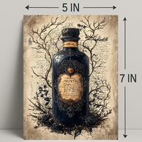 The Enchanted Elixir Poster