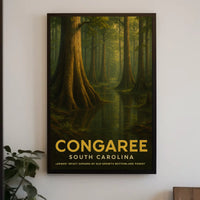 Congaree National Park Poster