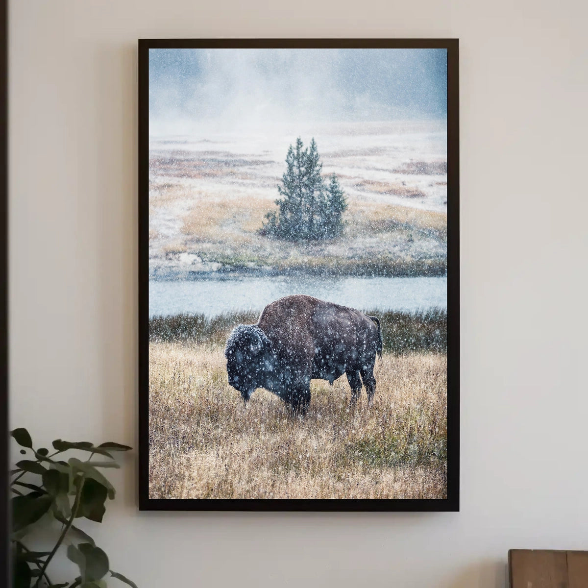 Majestic Bison In Snowfall Poster