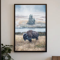 Majestic Bison In Snowfall Poster