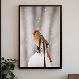 Winter Bird in Snowfall: Serene Animal Poster