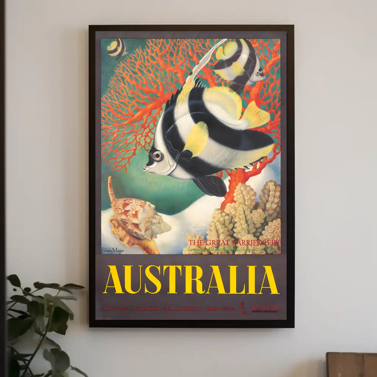 Australia The Great Barrier Reef Poster
