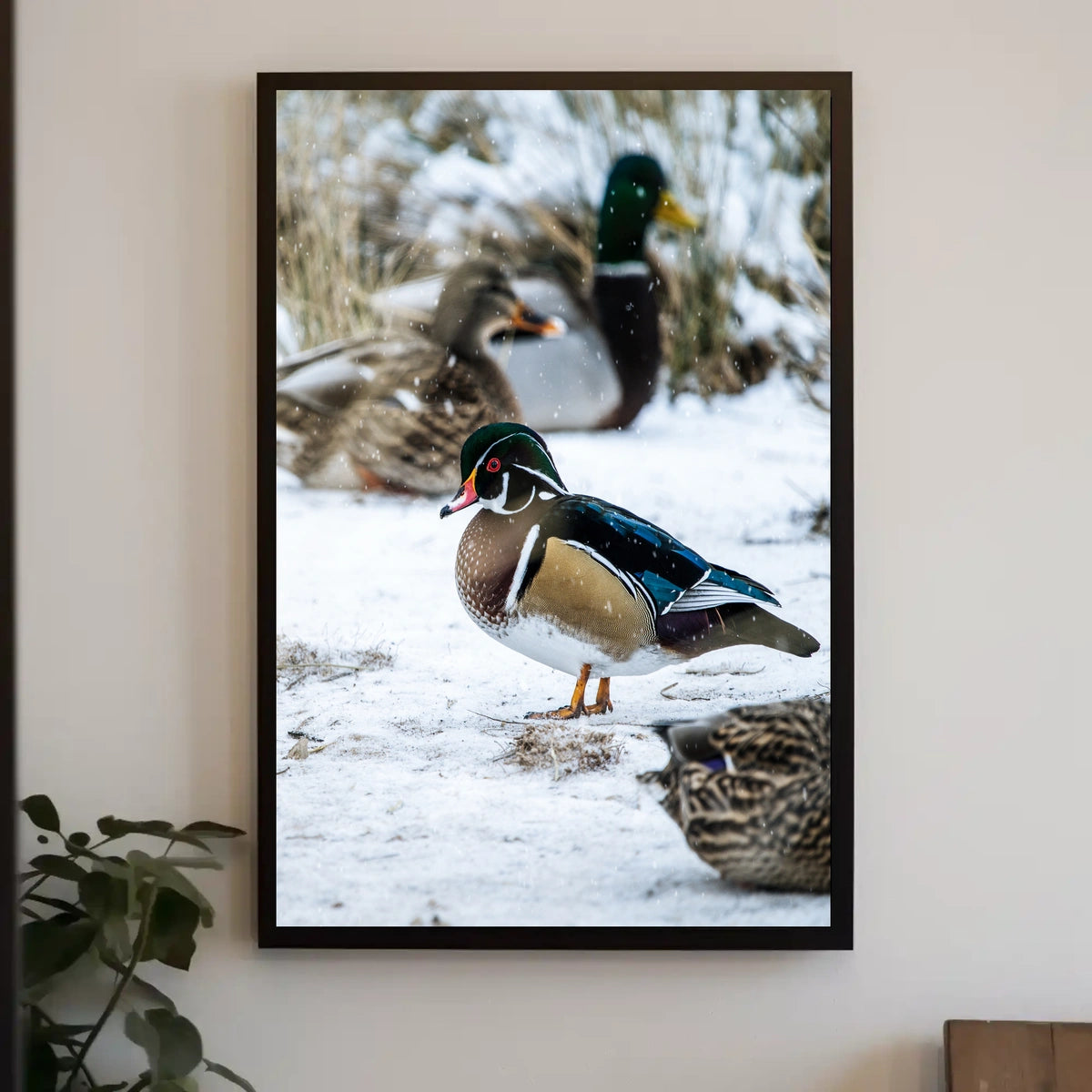 Winter Serenity Ducks In Snow Poster