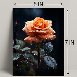 Dew-Kissed Rose Poster PosterGoat