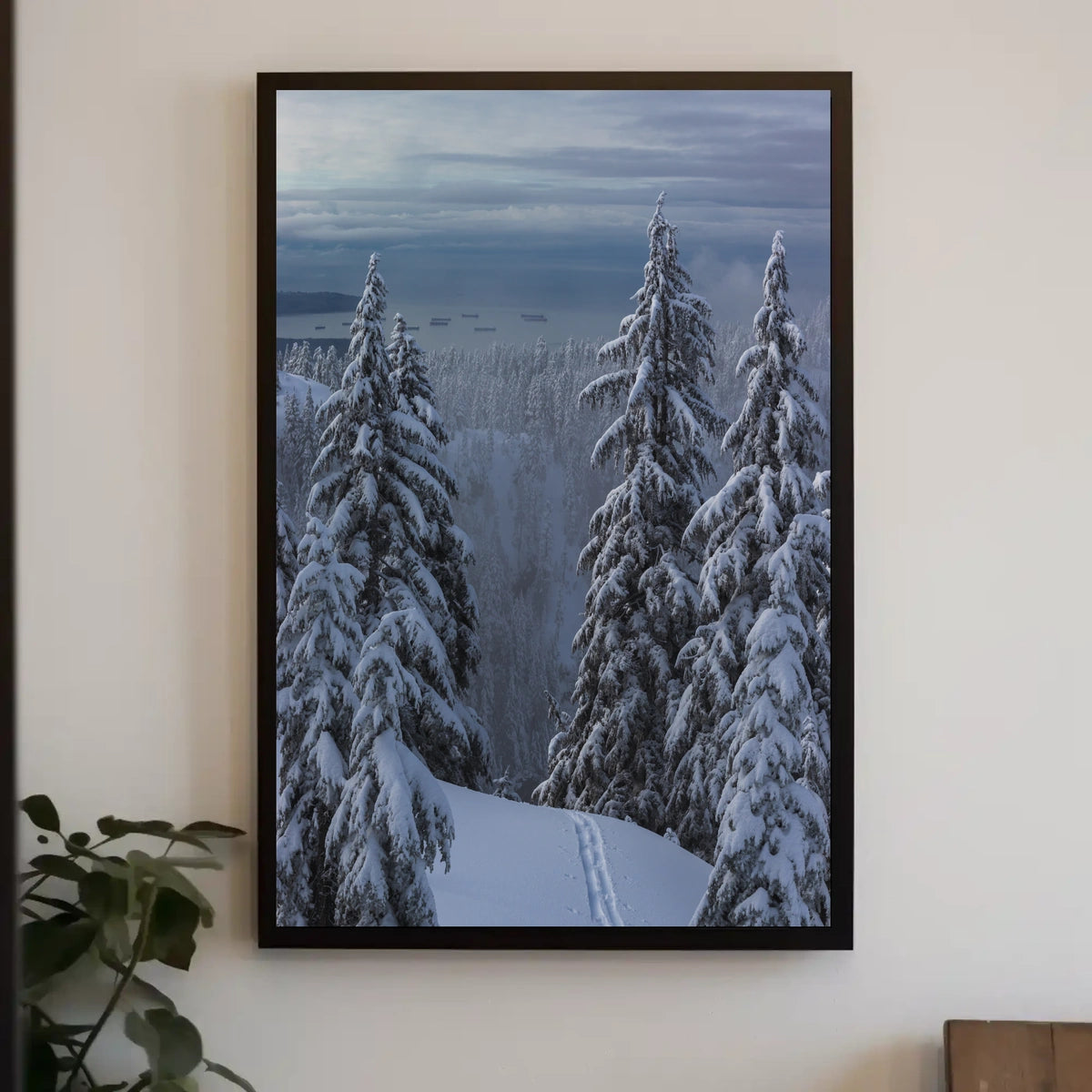Serene Winter Landscape with Ski Tracks National Park Poster