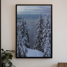 Serene Winter Landscape with Ski Tracks National Park Poster