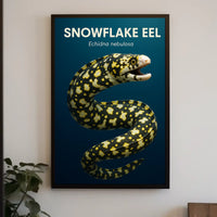 Snowflake Eel Echidna nebulosa Poster