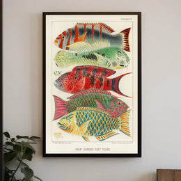 Great Barrier Reef Fishes Poster