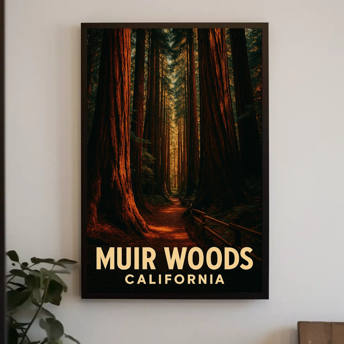 Muir Woods California Poster