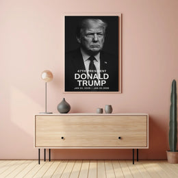 Donald Trump 47th President Poster