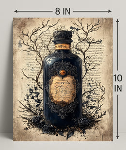 The Enchanted Elixir Poster