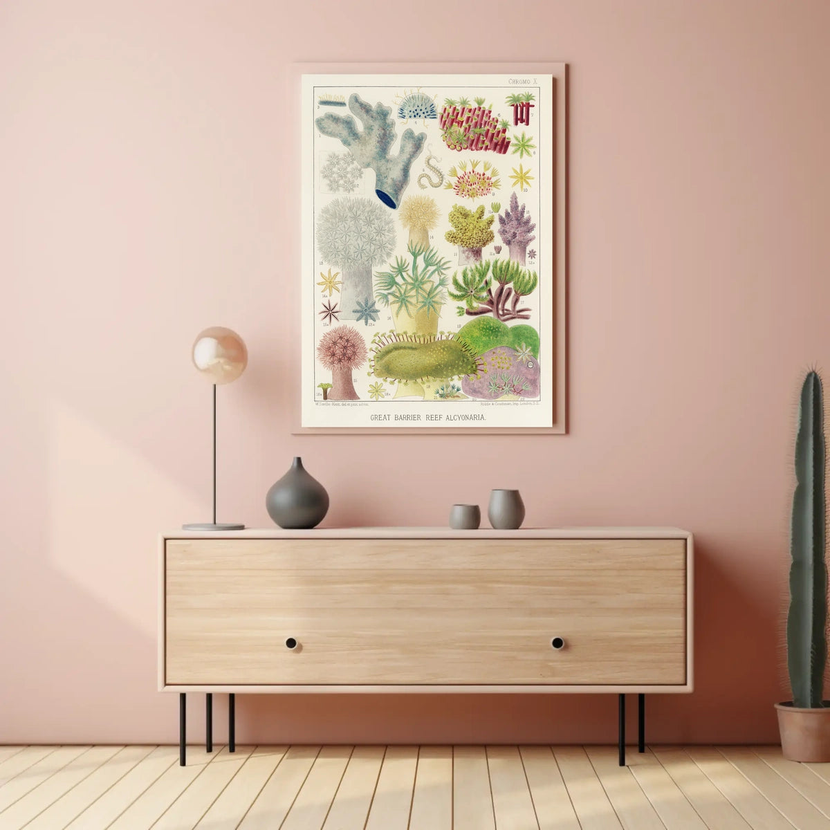 Great Barrier Reef Alcyonaria Poster