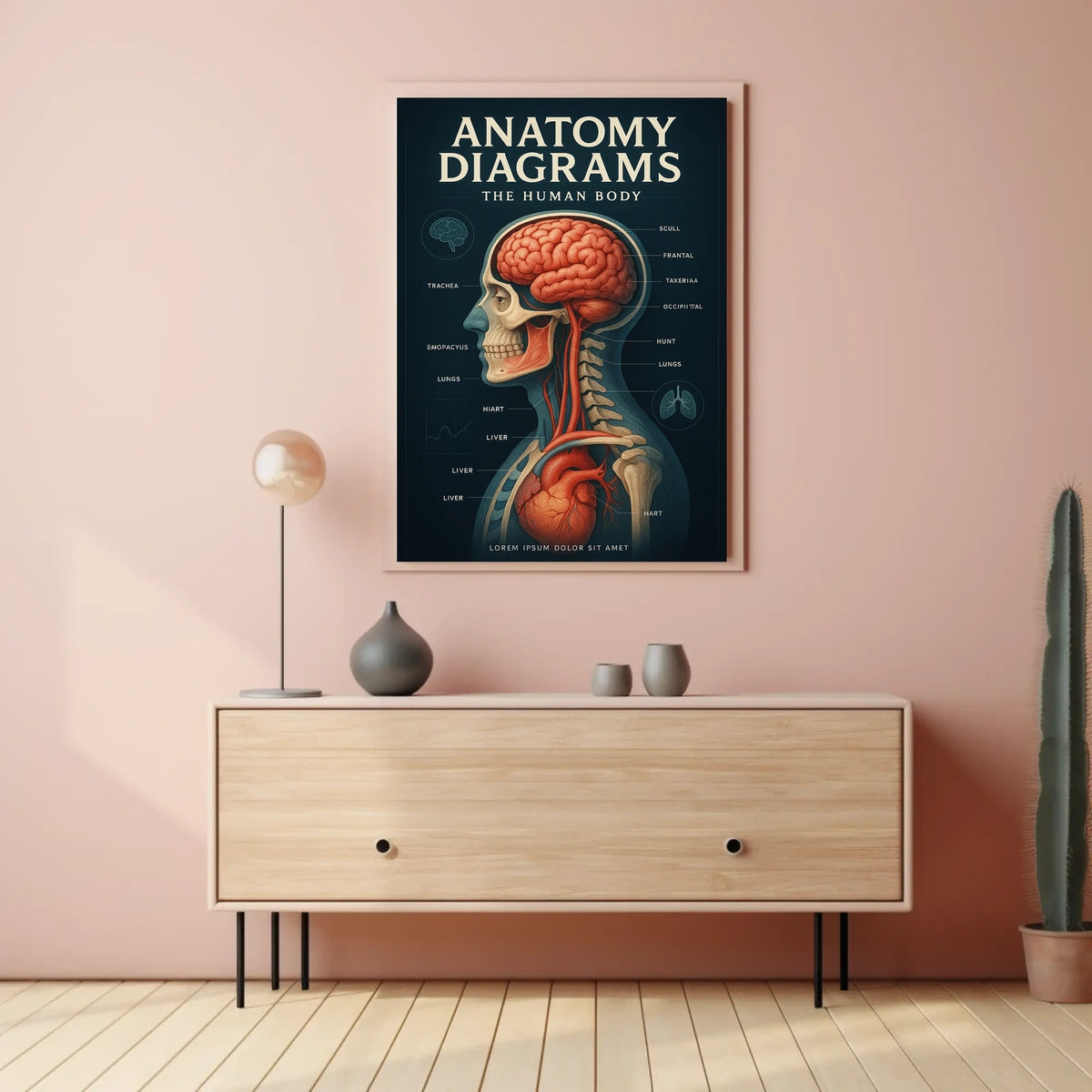 Anatomy Diagrams The Human Body Poster
