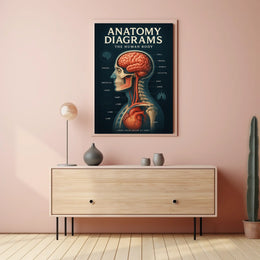 Anatomy Diagrams The Human Body Poster