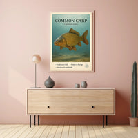 Common Carp Cyprinus carpio Poster